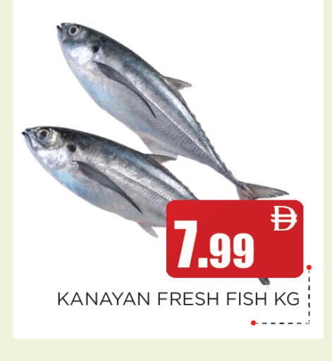 available at عين المدينة هايبرماركت in الإمارات العربية المتحدة , الامارات - الشارقة / عجمان