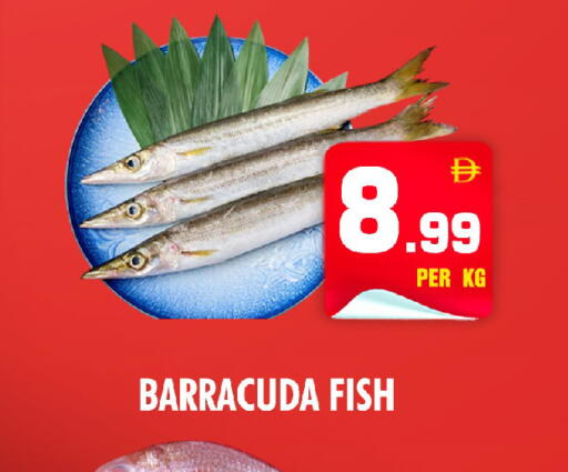 available at نايت تو نايت in الإمارات العربية المتحدة , الامارات - الشارقة / عجمان