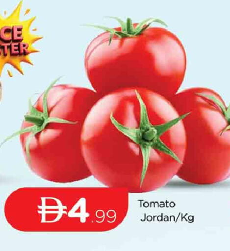 Tomato from Jordan available at AL MADINA (Dubai) in UAE - Dubai