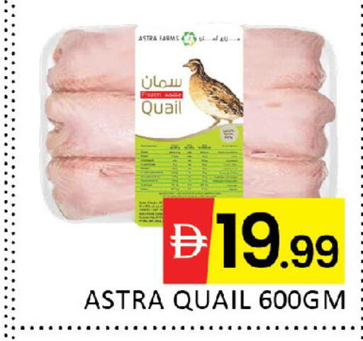 available at المدينة in الإمارات العربية المتحدة , الامارات - دبي