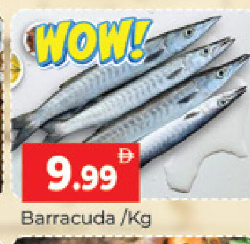 available at المدينة in الإمارات العربية المتحدة , الامارات - دبي