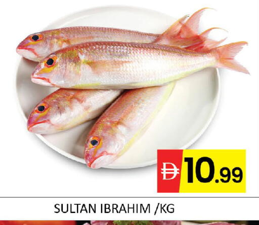 available at المدينة in الإمارات العربية المتحدة , الامارات - دبي