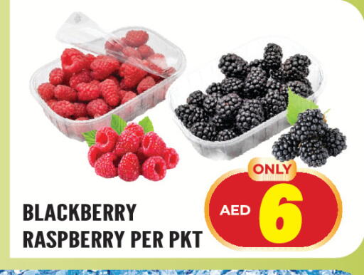 Blackberry Raspberry available at Dream Land in UAE - Sharjah / Ajman