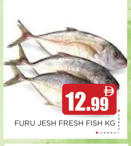 available at عين المدينة هايبرماركت in الإمارات العربية المتحدة , الامارات - الشارقة / عجمان
