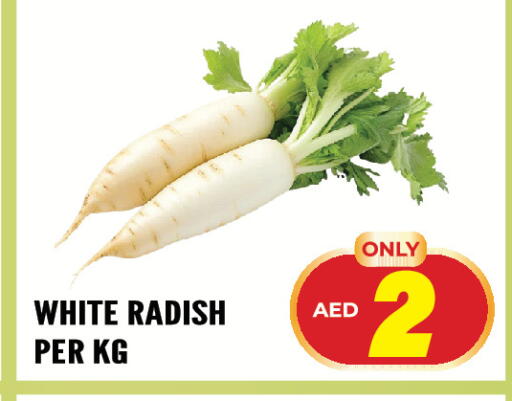 Radish available at Dream Land in UAE - Sharjah / Ajman
