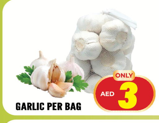 Garlic available at Dream Land in UAE - Sharjah / Ajman