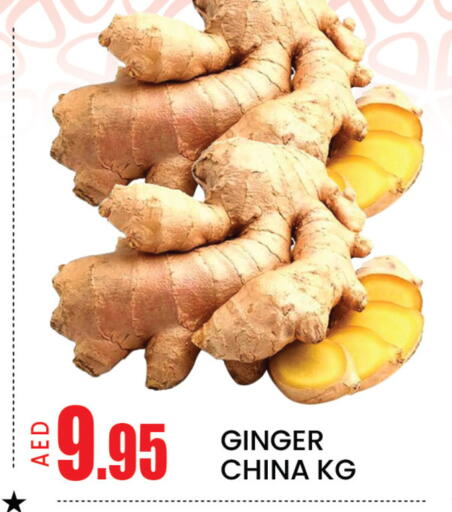 Mango Ginger from China available at مانجو هايبرماركت in الإمارات العربية المتحدة , الامارات - دبي