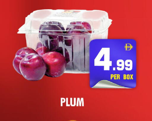 Plum available at نايت تو نايت in الإمارات العربية المتحدة , الامارات - الشارقة / عجمان
