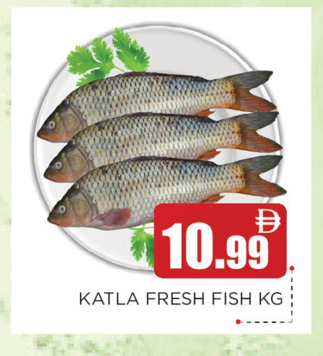available at عين المدينة هايبرماركت in الإمارات العربية المتحدة , الامارات - الشارقة / عجمان