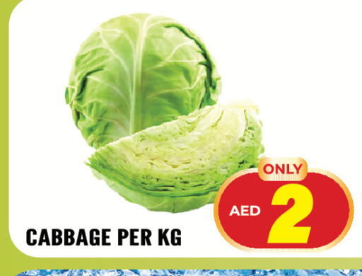 Cabbage available at Dream Land in UAE - Sharjah / Ajman
