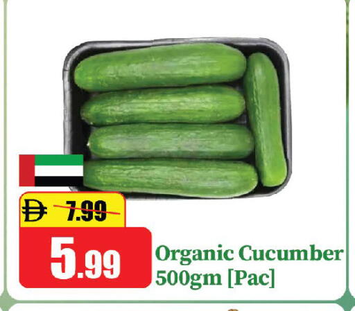 Cucumber available at Al Aswaq Hypermarket in UAE - Ras al Khaimah