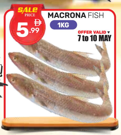 available at دريم نايت هايبرماركت in الإمارات العربية المتحدة , الامارات - دبي