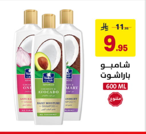 Coconut Avocado available at Ala Kaifak in KSA, Saudi Arabia, Saudi - Al Khobar