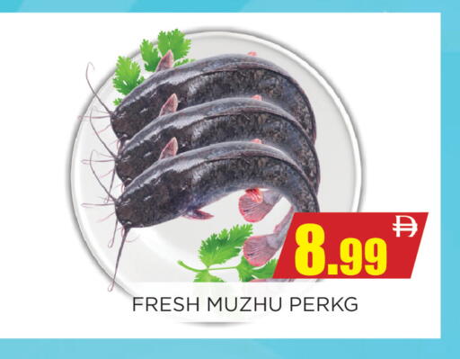 available at اينس المدينة هايبرماركت in الإمارات العربية المتحدة , الامارات - الشارقة / عجمان