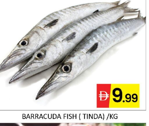 available at المدينة in الإمارات العربية المتحدة , الامارات - دبي
