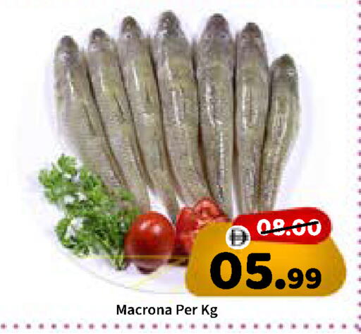 available at ROYAL GULF HYPERMARKET LLC in UAE - Abu Dhabi