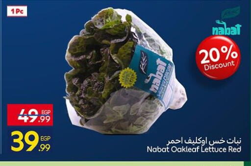 Lettuce available at كارفور in Egypt - القاهرة