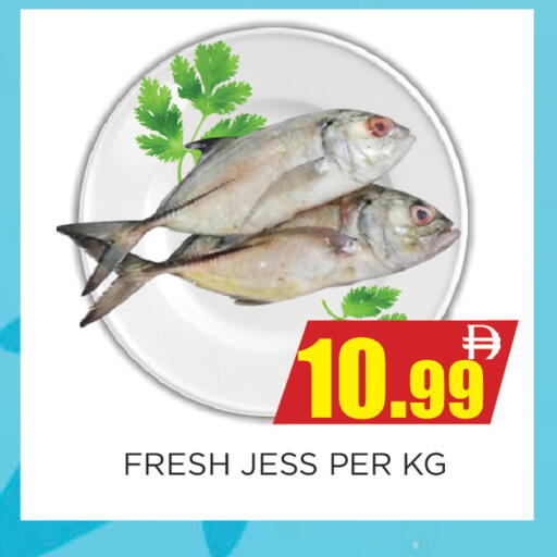 available at اينس المدينة هايبرماركت in الإمارات العربية المتحدة , الامارات - الشارقة / عجمان