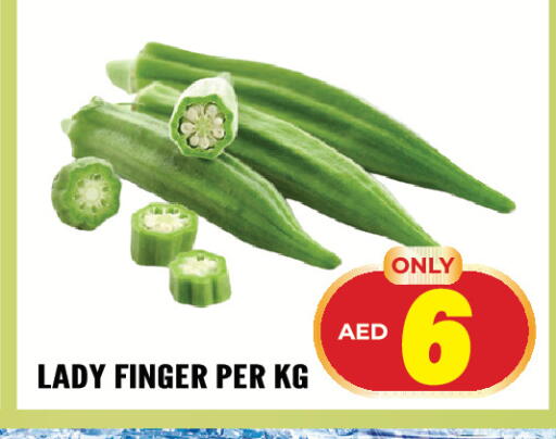 available at Dream Land in UAE - Sharjah / Ajman