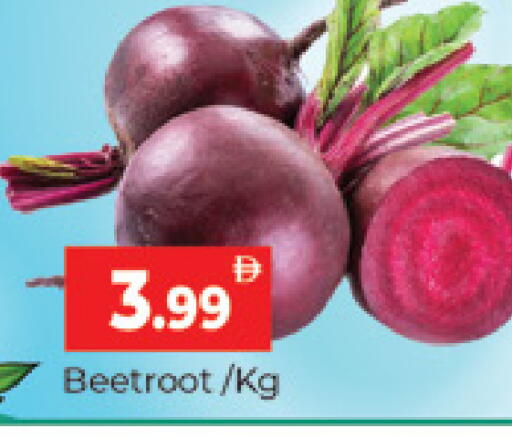 Beetroot available at المدينة in الإمارات العربية المتحدة , الامارات - دبي