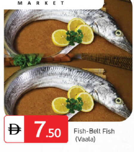 available at سوق طلال in الإمارات العربية المتحدة , الامارات - الشارقة / عجمان