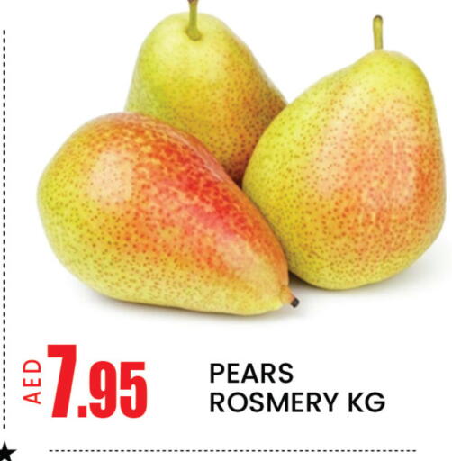 Mango available at مانجو هايبرماركت in الإمارات العربية المتحدة , الامارات - دبي