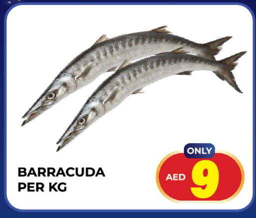 available at Dream Land in UAE - Sharjah / Ajman