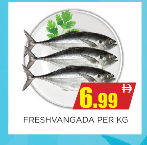 available at اينس المدينة هايبرماركت in الإمارات العربية المتحدة , الامارات - الشارقة / عجمان