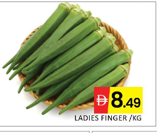 available at المدينة in الإمارات العربية المتحدة , الامارات - دبي