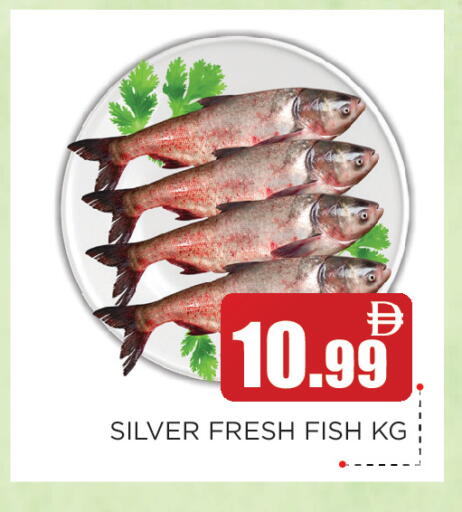 available at عين المدينة هايبرماركت in الإمارات العربية المتحدة , الامارات - الشارقة / عجمان