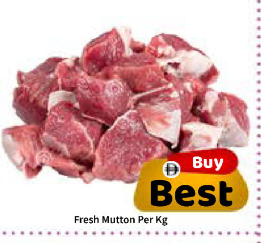 available at ROYAL GULF HYPERMARKET LLC in UAE - Abu Dhabi