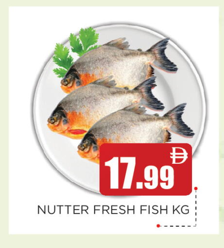available at عين المدينة هايبرماركت in الإمارات العربية المتحدة , الامارات - الشارقة / عجمان