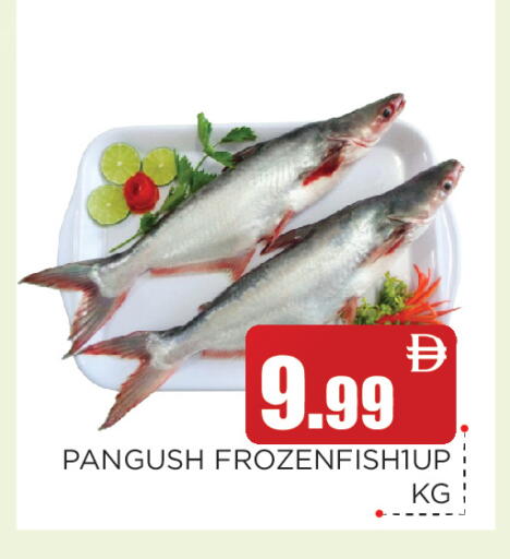 available at عين المدينة هايبرماركت in الإمارات العربية المتحدة , الامارات - الشارقة / عجمان