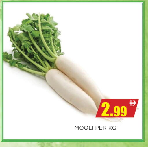 available at اينس المدينة هايبرماركت in الإمارات العربية المتحدة , الامارات - الشارقة / عجمان