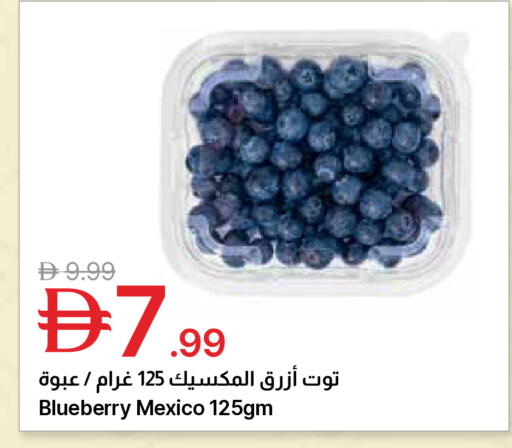 Blueberry BlueBerry from Mexico available at Emirates Co-Operative Society in UAE - Dubai