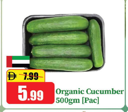 Cucumber available at الأسواق هايبرماركت in الإمارات العربية المتحدة , الامارات - الشارقة / عجمان