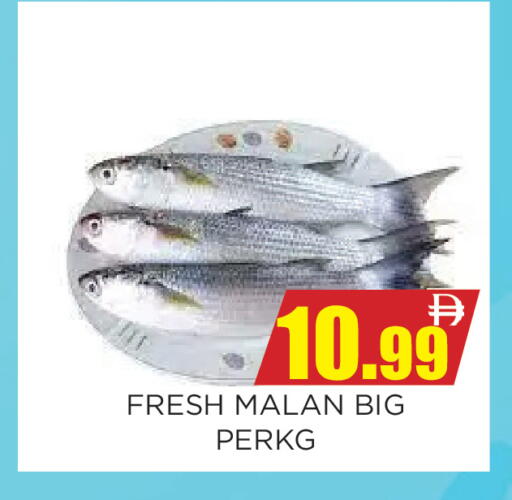 available at اينس المدينة هايبرماركت in الإمارات العربية المتحدة , الامارات - الشارقة / عجمان