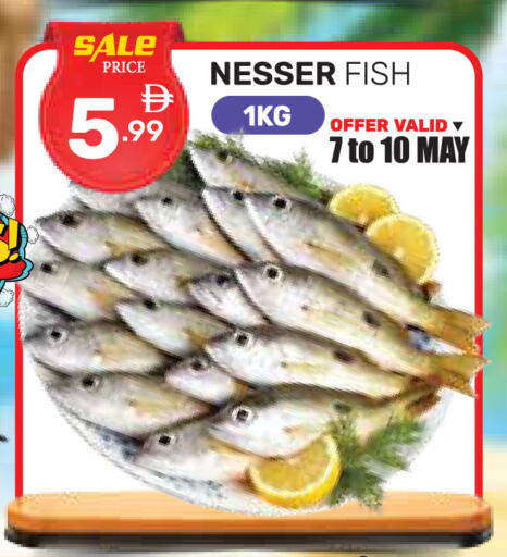 available at دريم نايت هايبرماركت in الإمارات العربية المتحدة , الامارات - دبي
