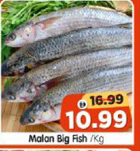 available at Al Madina Hypermarket in UAE - Abu Dhabi
