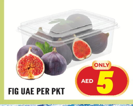 Fig available at Dream Land in UAE - Sharjah / Ajman