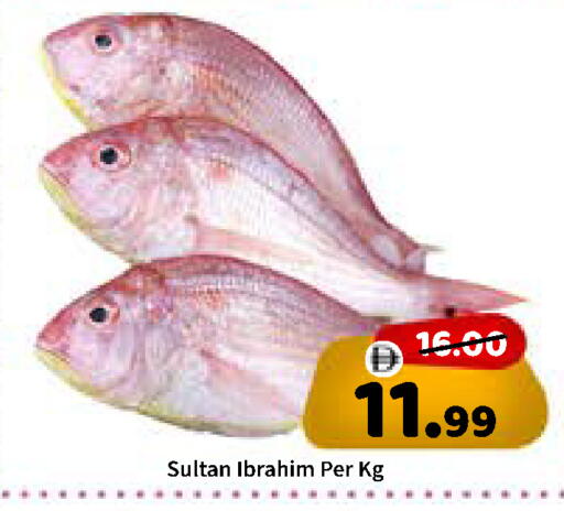 available at ROYAL GULF HYPERMARKET LLC in UAE - Abu Dhabi