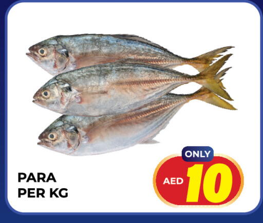 available at Dream Land in UAE - Sharjah / Ajman
