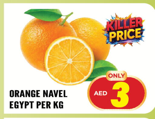 Orange from Egypt available at Dream Land in UAE - Sharjah / Ajman