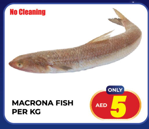 available at Dream Land in UAE - Sharjah / Ajman