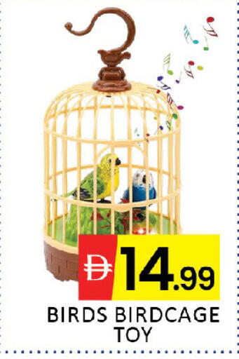 available at المدينة in الإمارات العربية المتحدة , الامارات - دبي