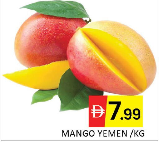 Mango from Yemen available at المدينة in الإمارات العربية المتحدة , الامارات - دبي