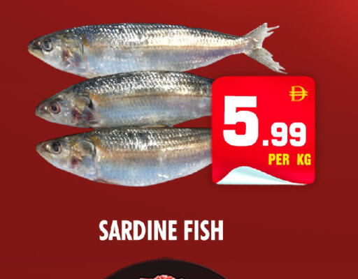 available at نايت تو نايت in الإمارات العربية المتحدة , الامارات - الشارقة / عجمان