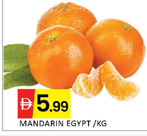 Mandarin from Egypt available at المدينة in الإمارات العربية المتحدة , الامارات - دبي