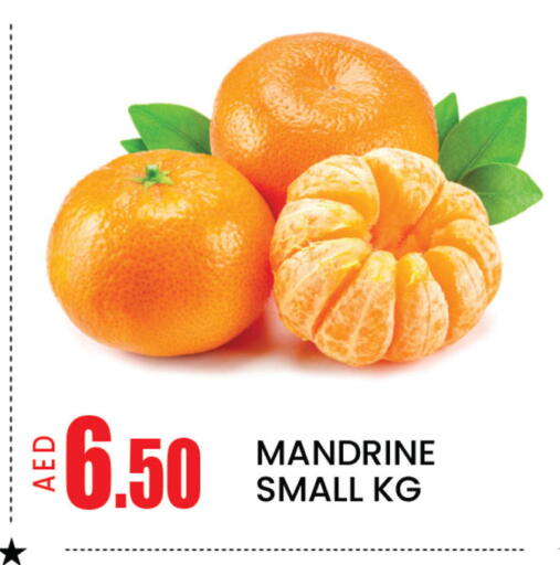 Mango available at مانجو هايبرماركت in الإمارات العربية المتحدة , الامارات - دبي