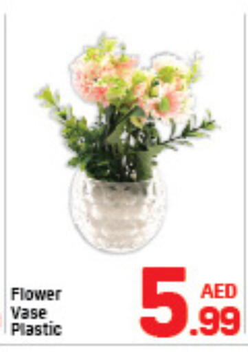 available at دي تو دي in الإمارات العربية المتحدة , الامارات - الشارقة / عجمان